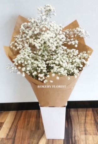 Baby's Breath Bouquet